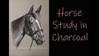 Draw a horse in charcoal - Timelapse
