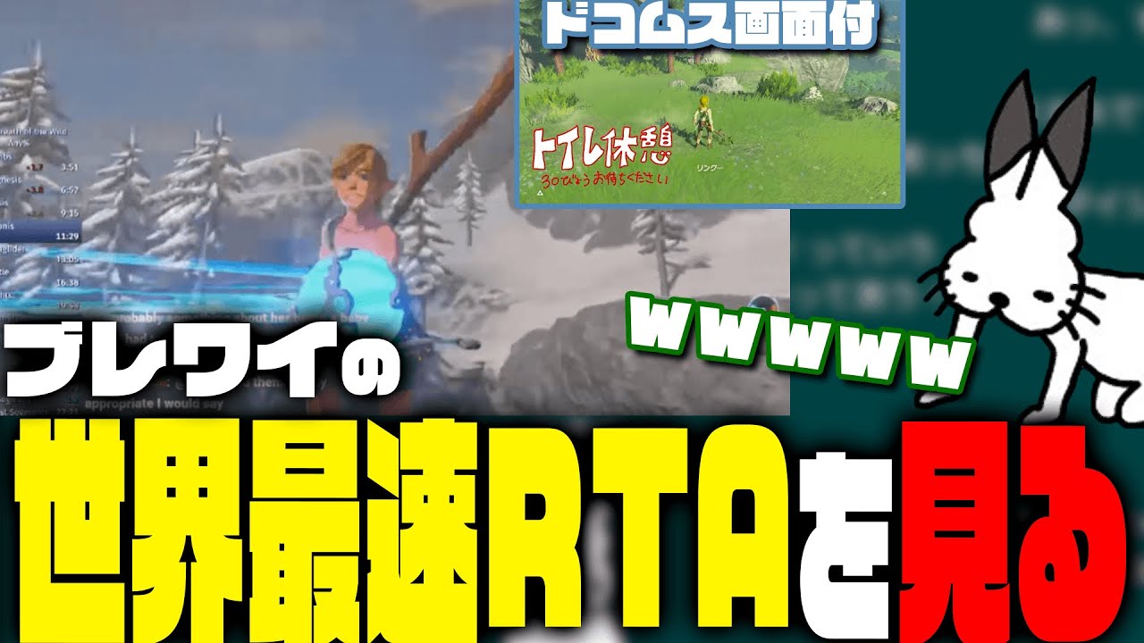【ドコムス比較画面付】ブレワイの世界最速RTAを見るドコムス【ゼルダの伝説ブレスオブザワイルド】