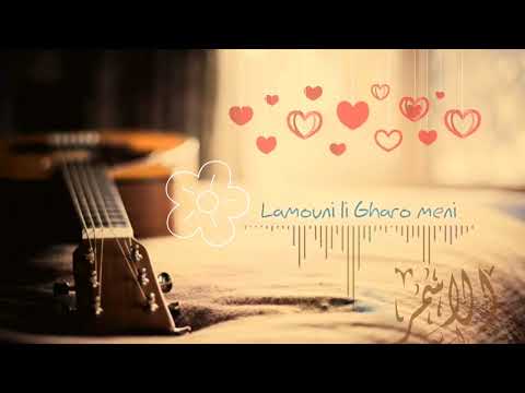 لاموني الي غارو مني علاء زلزلي