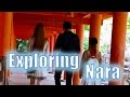 Exploring Nara with Rachel & Jun and Kim Dao