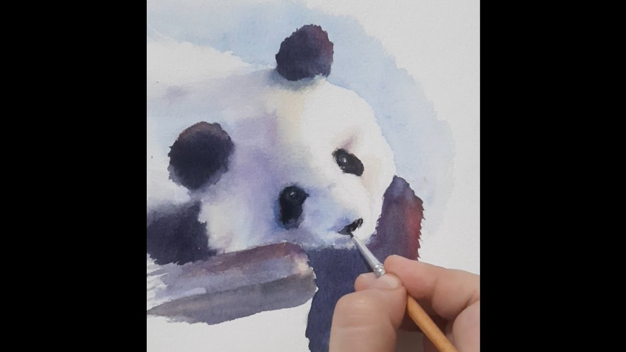 Panda Watercolor speedpaint