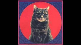 themselves 11 out in the open remixed by the notwist