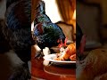 A chicken eating rotisserie chicken 🍗 #chicken #rotisseriechicken #aiclips #clipclop