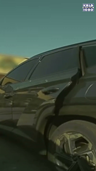 The Dallas PD asked for citizens' help to investigate a vehicle burglary that on Nov. 9. #shorts