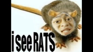 伊斯比尔-「S3xDru9LuvMoney」Official Music Video