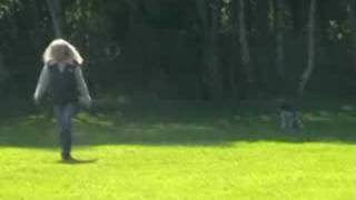 Lydnads klass 2    080914. Lagotto Totti