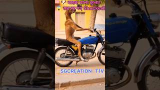 कुत्ते ने चलाई बाइक 😱🐶 | Dog Riding Scooter Funny Video 😂#shorts #funny #cute