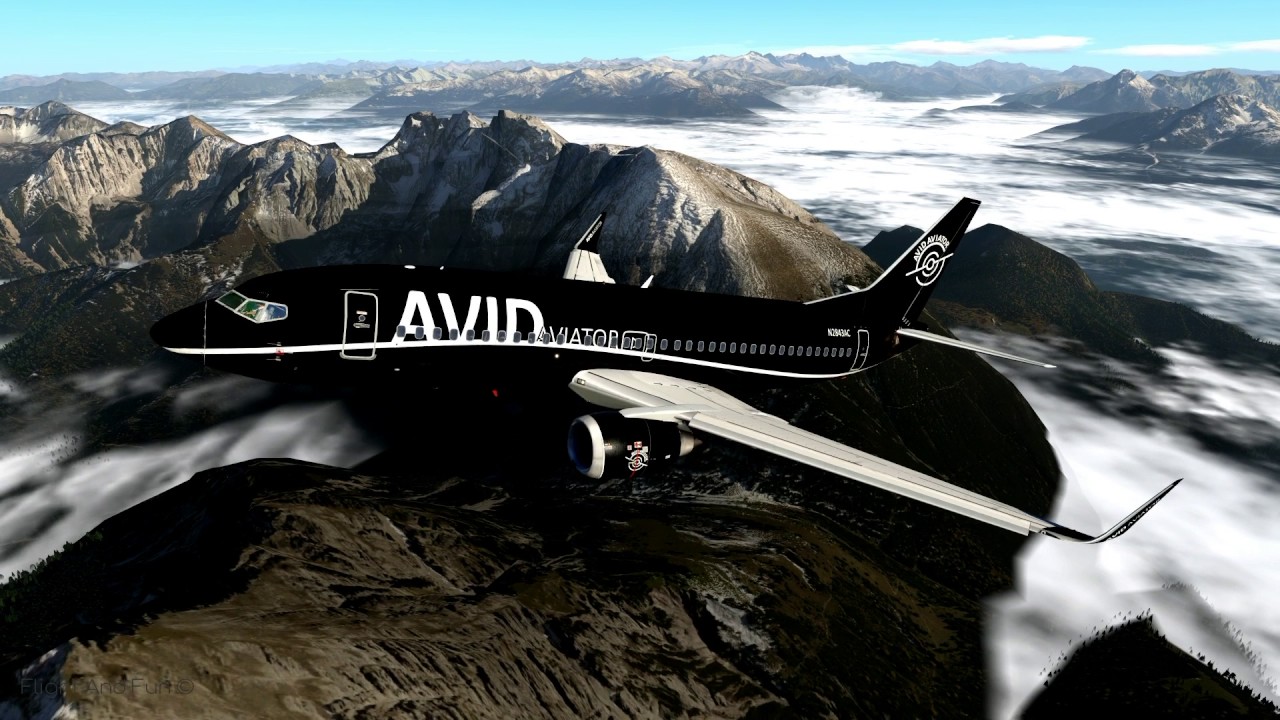 Welcome to Avid Aviator