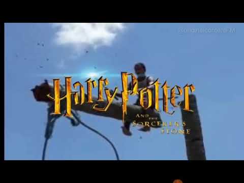 Guy falls of his tree while chopping it - Harry potter Dank version
