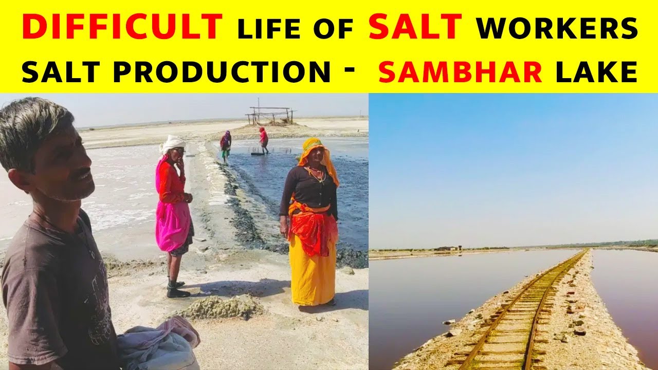 Natural Salt Production in Sambhar Salt lake