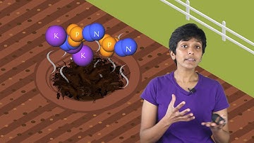 8. Manure - Crop production and management