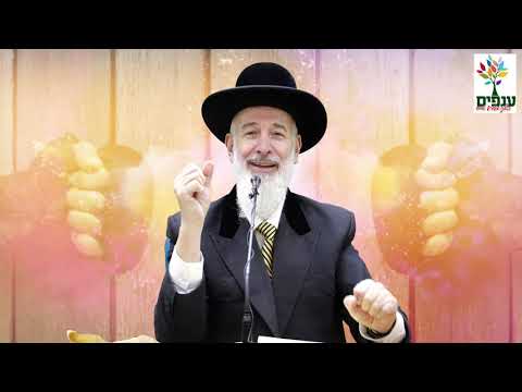 פרשת קרח - הרב יונה מצגר HD - מדהים!