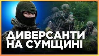 ПРОБИВАЮТЬ КОРДОН! Ось куди ЛІЗЛИ російські ДРГ. Розкрито подробиці НАЛЬОТІВ диверсантів на СУМЩИНУ