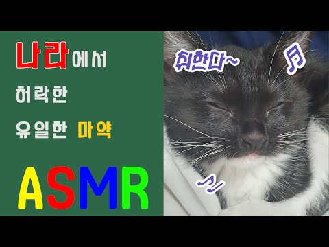 ASMR ㅣ 고양이 간식  ㅣ 고양이 먹방ㅣ그리니즈ㅣ치석제거간식ㅣ 턱시도 고양이 ㅣ 길냥이 ㅣ 깜냥이 ㅣ 아깽이 ㅣ a cat snack ㅣ cat asmr