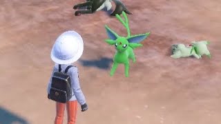 Espeon Screams Then Falls Asleep