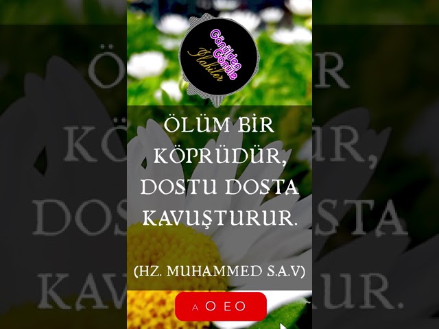 Müziksiz İlahi - Bugün Olmazsa Yarın Bir Gün Mutlaka #shorts