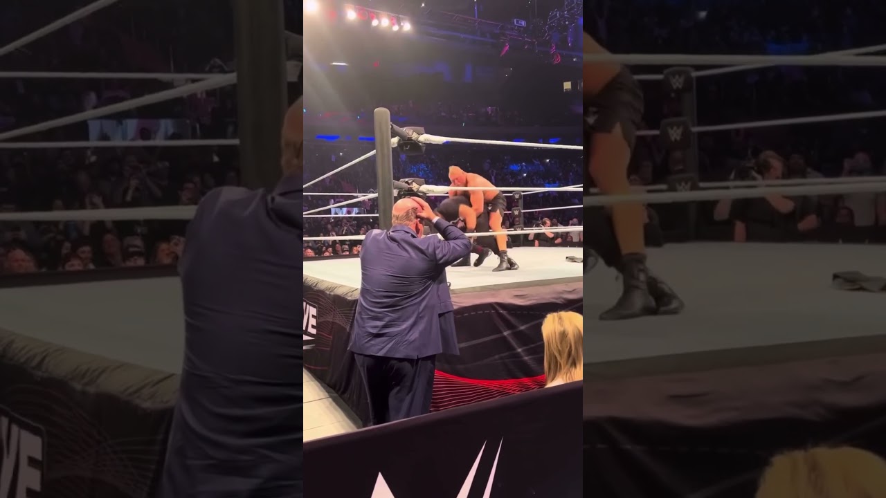 Brock Lesnar attacks Roman Reigns