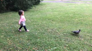 Cute twins Baby Playing in the Park ! Twin Babies Video! Cute baby plying with Pigeons by Diya’s and Riya’s World 1,492 views 2 years ago 34 seconds