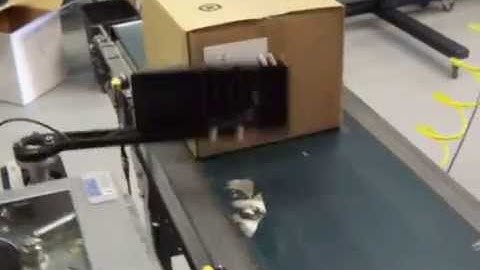 Panther | Swing Arm Applicator Applying Labels to Two Sides of Cases