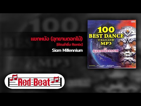 แขกหนัง อุทยานดอกไม้ [พิณลำซิ่ง Remix] - Siam Millennium [OFFICIAL AUDIO]