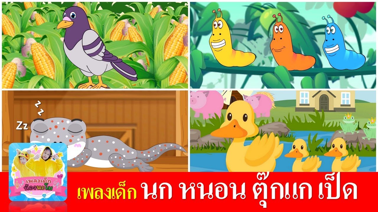 เพลงเด็ก นก หนอน ตุ๊กแก เป็ด