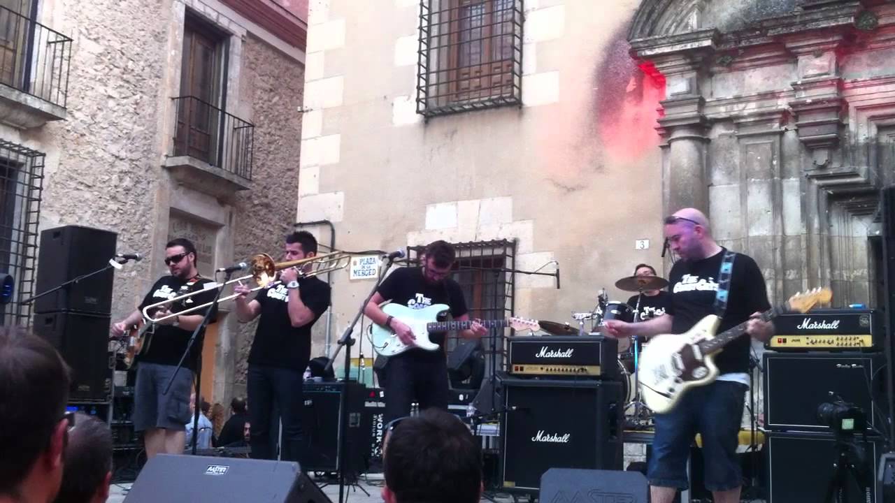 MOCITA ACEITUNERA. THE COAST CATS