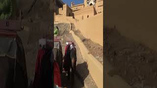 Amer Fort Jaipur जयपुर का आमेर किला क्यों है टूरिस्ट की पहली पसंद #shorts