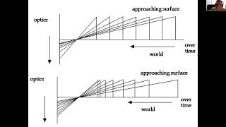 EXP3204 Ecological Approach to Perception Part 3