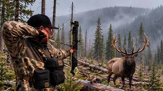 I Archery Hunted Elk in Fallen Timber For 5 Days! | Muley Freak - 4K Film