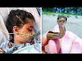 This Snake Looks Harmless, But It Hospitalized This 2-Year-Old With One Touch