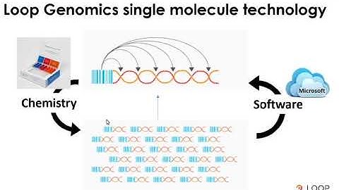 Loop Genomics 16s 18s LoopSeq Webinar