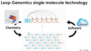 Loop Genomics 16s 18s LoopSeq Webinar