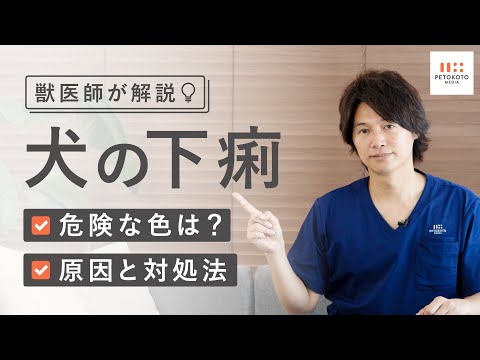 犬の下痢や血便が続く場合の原因や対処法を獣医師が解説!(子犬/保護犬) hqdefault