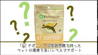 【UT(尿路)サポート】猫の尿路疾患をサポートするサプリ【ペットナチュラルズ製品紹介】