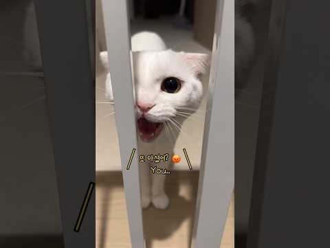 ... 지퍼 벗고 나오렴... 너 사람인 거 들켰데.. ^^;