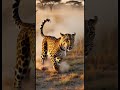 The Most INSANE Close Call on a Safari 😱🐾 | Seconds from Disaster in the Wild