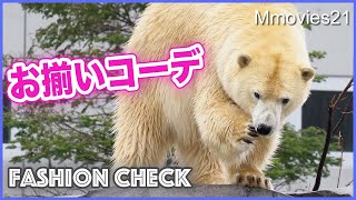 その仕草にハートを射抜かれる【ホッキョクグマ】リラのレアなシーンとデナリのこだわり　Polar Bear cute gesture