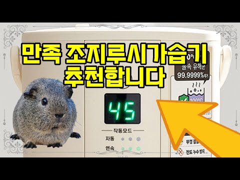 ❤️추천 조지루시가습기 따뜻하고 쾌적한 실내 습도 유지! 💧 대용량 4L 가열식 가습기, 지금 바로 만나보세요! 🌟