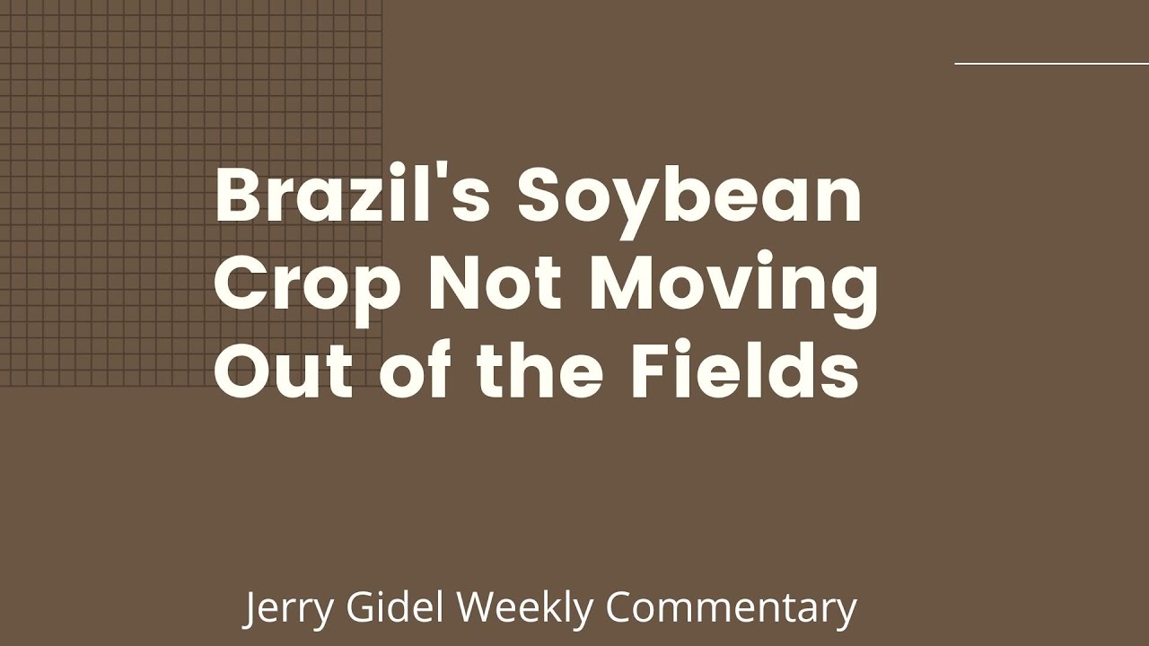 Brazil's Soybean Crop Not Moving Out of the Fields - YouTube
