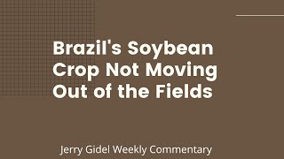 Brazil's Soybean Crop Not Moving Out of the Fields