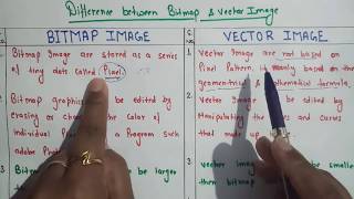 Difference between BITMAP and VECTOR Image||Difference between bitmap image and vector image in H...