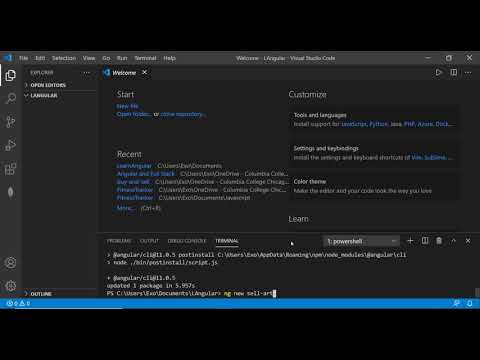 01 Angular   Project Setup