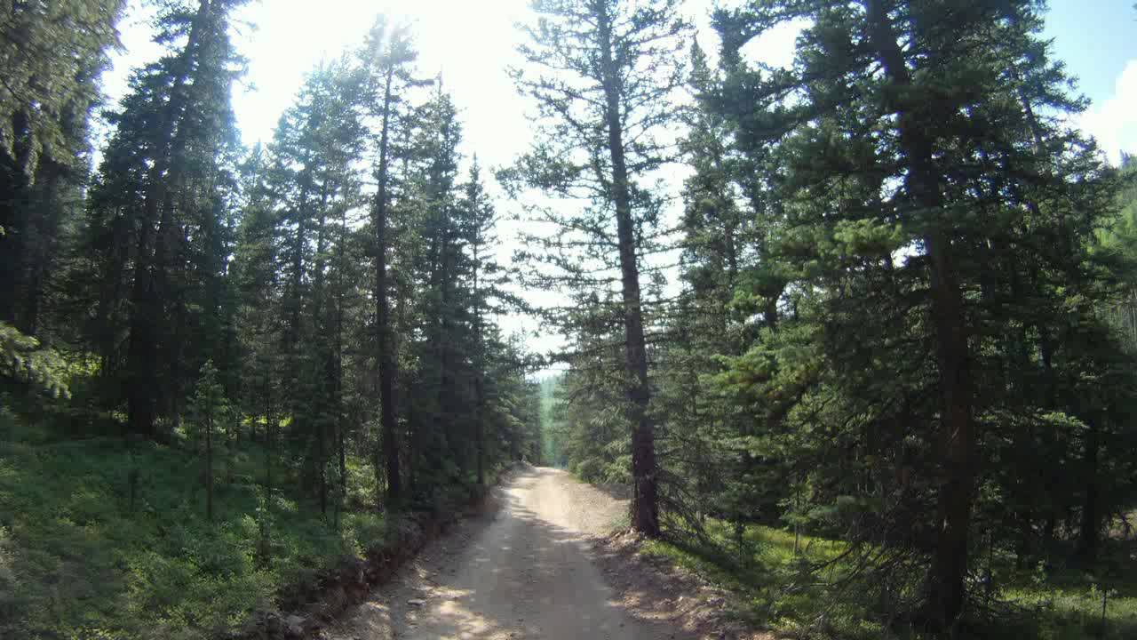 New Mexico ATV riding near Red River YouTube