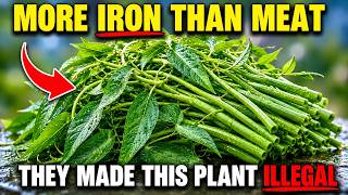 The Plant That Feeds 2 Billion People Is Illegal Here.