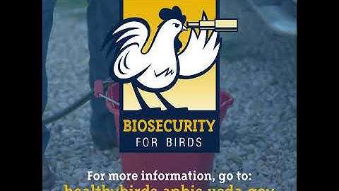APHIS Biosecurity for Birds  Don