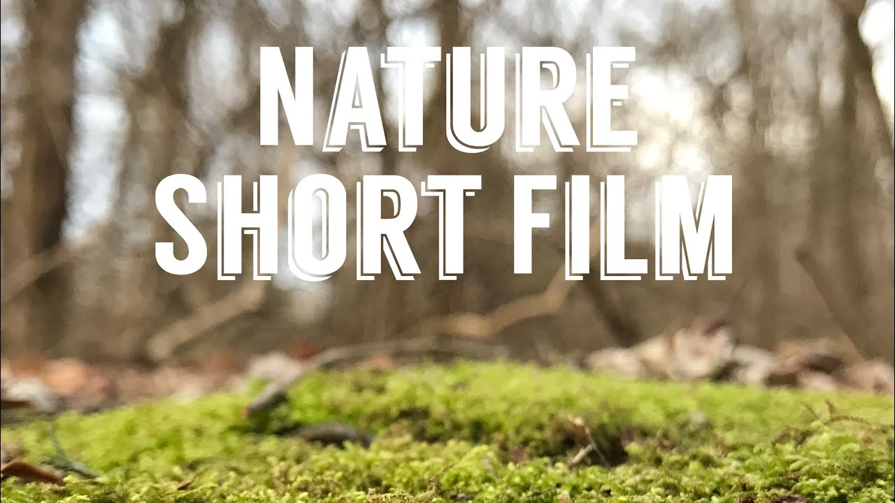 Nature Short Film YouTube