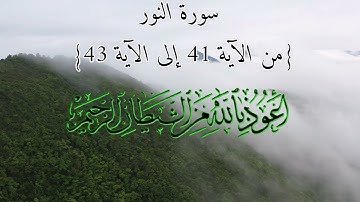 القرآن الكريم تلاوة خاشعة لآيات من سورة النور مع جمال الطبيعة للتفكر والتأمل