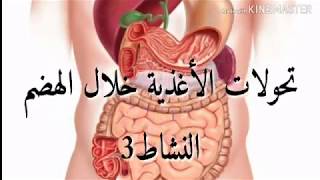 الدرس 3 : تحولات الأغذية خلال الهضم النشاط 3 علوم الطبيعة و الحياة السنة الرابعة متوسط للجيل الثاني