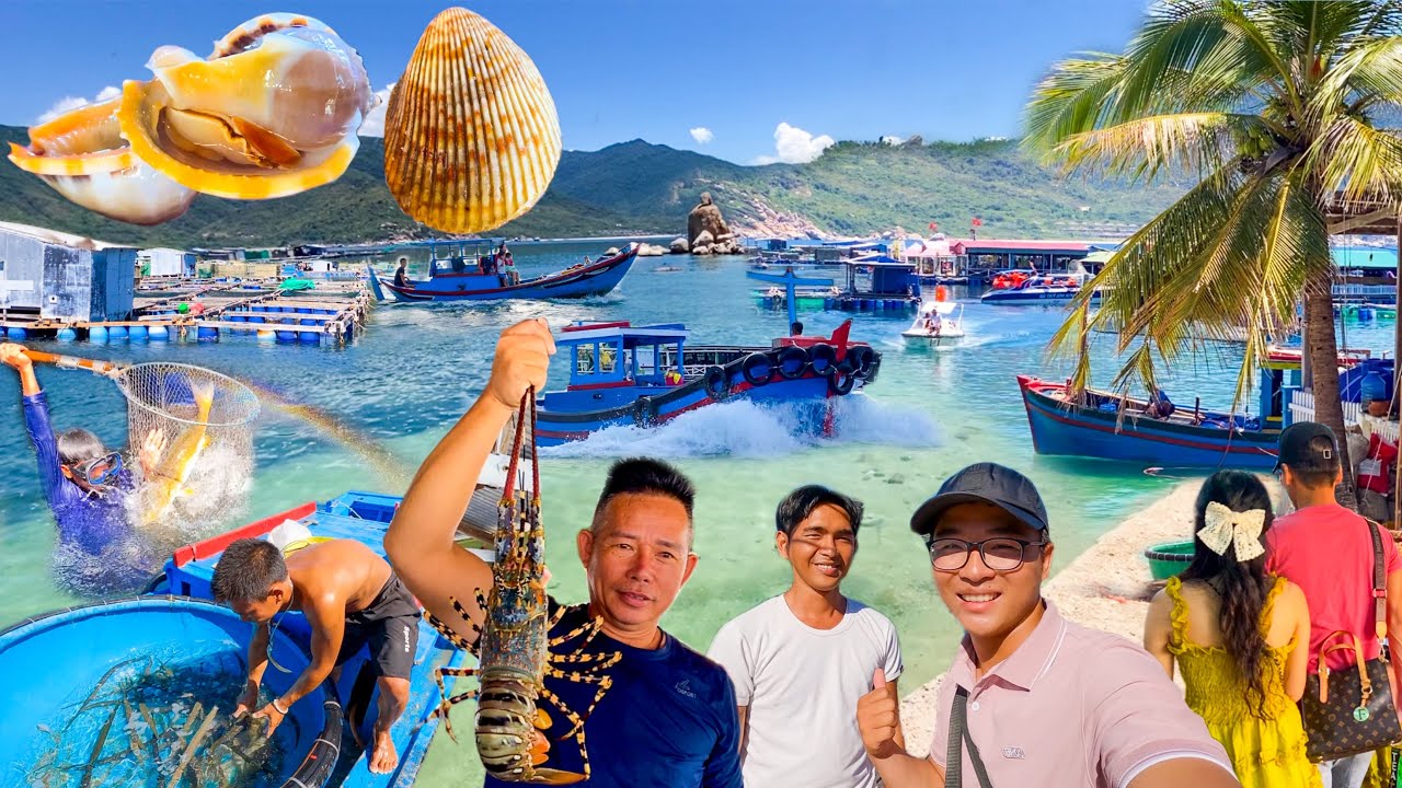 Hòn Đảo Có Nước Ngọt Theo Mùa | Đàn Cá Mú 12 Tuổi Nặng Hàng 1000Kg