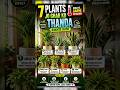 “7 Plants Jo Ghar Ko Natural AC Bana Dein! 🌿 India Ki Garmi Ka Solution”